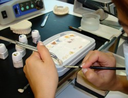 Expert dental lab technique