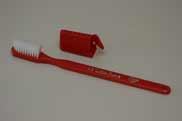 toothbrush photo -How do I maintain my dental implants?