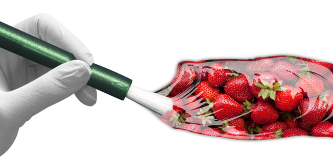 graphic with pain brush and strawberries